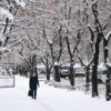 Автомобильные дороги этим утром были хорошо почищены от снега, в отличие от тротуаров и пешеходных зон — newsvl.ru