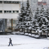 Подобные капризы переменчивой приморской погоды коварны для пешеходов — newsvl.ru
