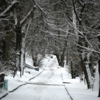 Снежная сказка в скверах и парках Владивостока поселилась сегодняшним утром — newsvl.ru