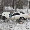 Двое мужчин чудом выжили, когда Toyota Cresta «намотало» на дерево в Кавалеровском районе (ФОТО)