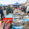 В глубине «мини-рынка» предлагают свои товары прилавки с морепродуктами — newsvl.ru