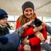 Котёнок Гек сегодня нашёл любящую семью — newsvl.ru