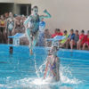 Акробатика - неотъемлемая часть синхронного плавания — newsvl.ru