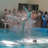 Синхронное плавание в чём-то напоминает художественную гимнастику в воде — newsvl.ru