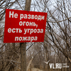 Владивостокцам запретят ходить в лес и разводить костры во время особого противопожарного режима
