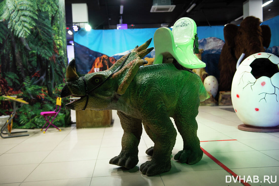 Выставка роботов м5 молл. Выставка динозавров Рязань м5 Молл. Выставка динозавров Хабаровск. Выставка динозавров 2022. Выставка динозавров Хэппи Молл.
