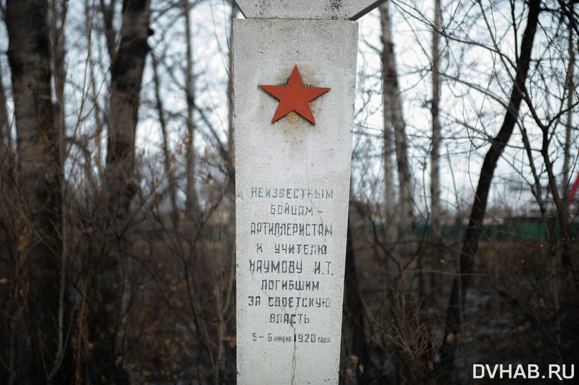 Дом на костях: застройщик рубит деревья у братской могилы в Хабаровске  (ФОТО) — Новости Хабаровска