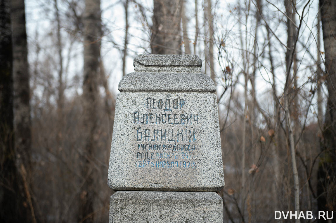 Дом на костях: застройщик рубит деревья у братской могилы в Хабаровске  (ФОТО) — Новости Хабаровска