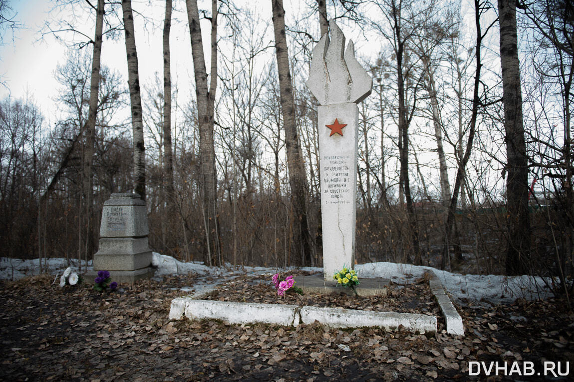 Дом на костях: застройщик рубит деревья у братской могилы в Хабаровске  (ФОТО) — Новости Хабаровска