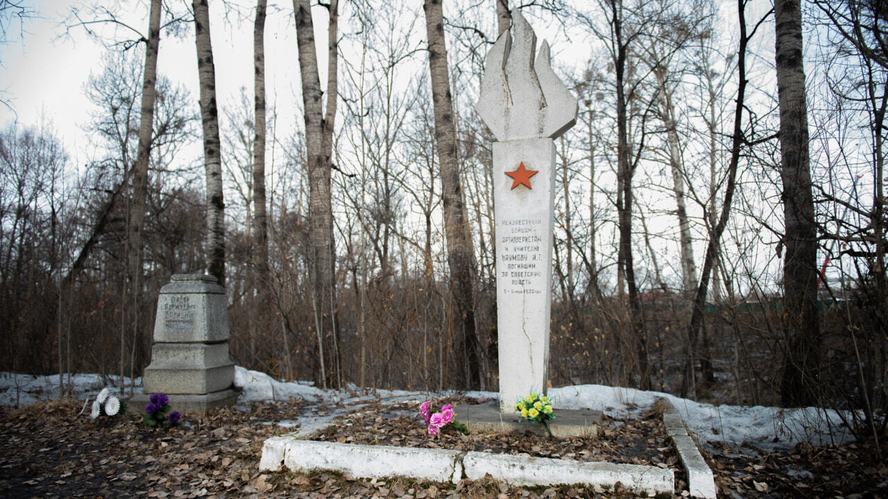 Дом на костях: застройщик рубит деревья у братской могилы в Хабаровске  (ФОТО) — Новости Хабаровска