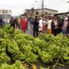 Производители бананов из провинций Лос-Риос, Эль-Оро и Гуаяс перекрыли дорогу в Пуэрто-Инка гроздьями. Фото: API (EL UNIVERSO) — newsvl.ru
