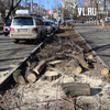 В районе Депутатской аллеи вырубили больные деревья для «реконструкции зелёных насаждений» (ФОТО)