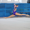 Во время выступления гимнастки демонстрировали гибкость и растяжку — newsvl.ru