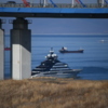 Яхта вышла из порта Виктория в Индийском океане 12 марта — newsvl.ru