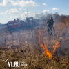 За три дня в Приморье выгорело более 1700 га леса и полей