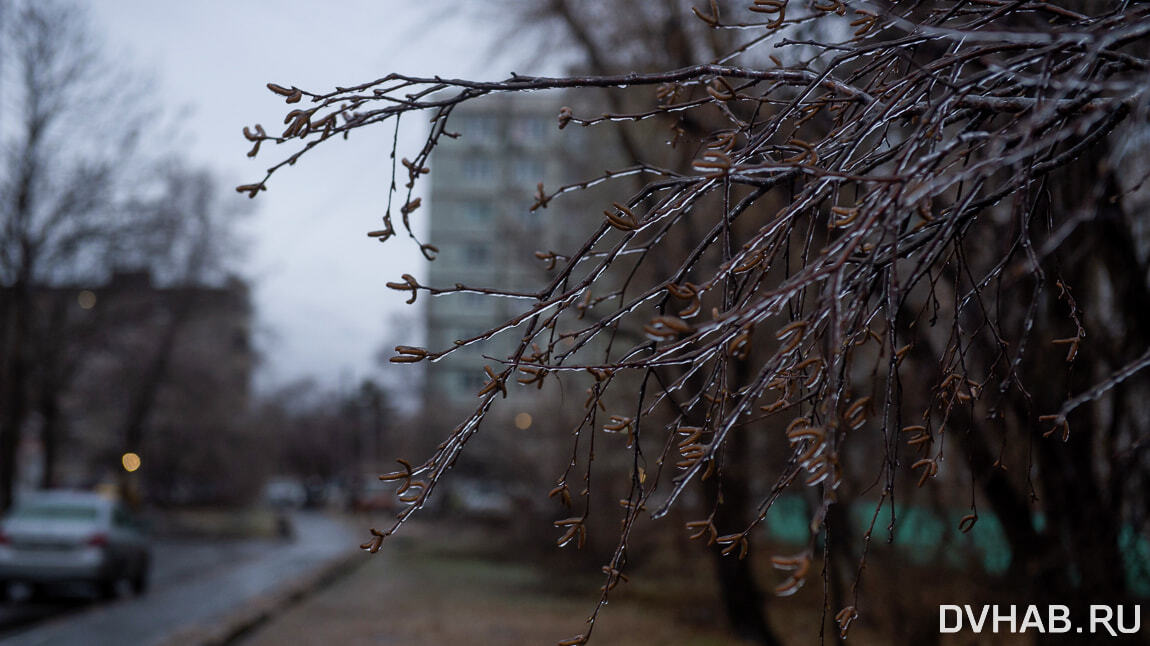 Прогноз погоды в Комсомольске-на-Амуре на среду, 6 апреля