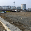 Изначально хозяева земли хотели создать здесь и верёвочный парк — newsvl.ru
