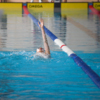 На дистанциях 200 метров комплексом спортсмены чередуют несколько стилей плавания — newsvl.ru