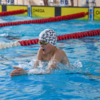 «Золотая рыбка» – традиционные соревнования для юных пловцов — newsvl.ru