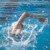 В бассейне спорткомплекса «Олимпиец» проходят соревнования по плаванию «Золотая рыбка» — newsvl.ru