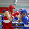 На чемпионат и три первенства по боксу среди девушек и женщин приехала 141 спортсменка — newsvl.ru
