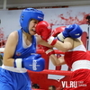 В ринге только девушки: сразу четыре дальневосточных турнира по боксу проходят во Владивостоке (ФОТО; ВИДЕО)