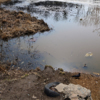У берега плавает мусор — newsvl.ru
