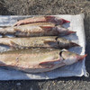 5 кг чёрной икры и 16 кг осетровых рыб изъяли в Приморье