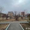 Сквер Михаила Фёдорова (Бестужева, 36/38) — newsvl.ru