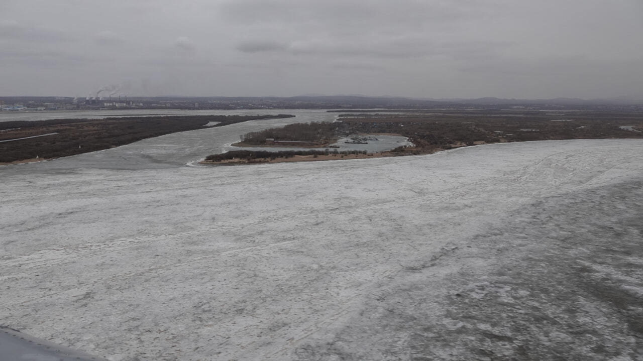 хабаровск остров заячий