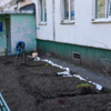 Местные жители следят за своим двором, ухаживают за клумбами — newsvl.ru