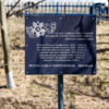 В этом году на Терешковой, 9 поставили мемориальную табличку, увековечившую имена ветеранов Великой Отечественной войны, проживавших здесь же — newsvl.ru