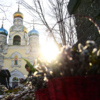 Купить пушистые ветви можно рядом с церквями и храмами — newsvl.ru