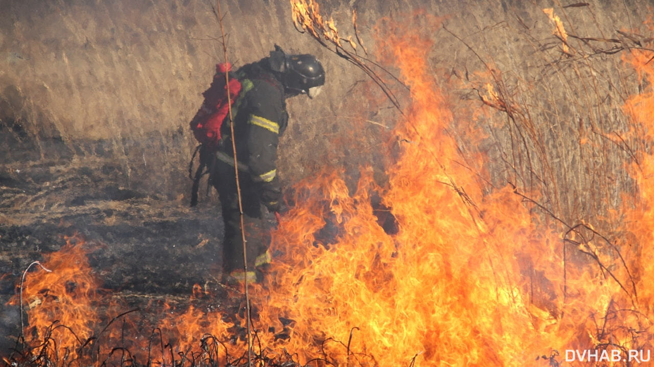 Девять лесных пожаров ликвидировали в крае за минувшие выходные