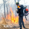 В Приморье принят закон о добровольной пожарной охране