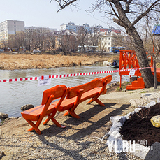 Место обитания уток-мандаринок в пригороде Владивостока очистили от мусора сотрудники автомобильного дилерского центра 