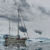 Главная опасность в Антарктиде - лёд — newsvl.ru