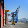 В 2020 году среднесписочная численность работников Владивостокского морского торгового порта составила 1947 человек — newsvl.ru