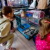 Животные привлекали внимание маленьких посетителей  торгового центра  — newsvl.ru