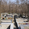 В целом на местах захоронений убрано — newsvl.ru