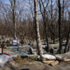Недобросовестные посетители кладбищ не донесли свой мусор до контейнеров — newsvl.ru