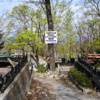 Посетителей Лесного кладбища убедительно просят выносить свой мусор — newsvl.ru
