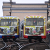 В 2019 году вагоны украсили изображениями тигров — newsvl.ru