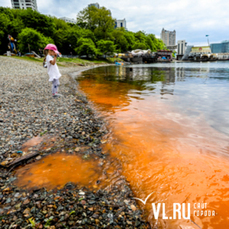 Сезон «цветных приливов» во Владивостоке начнётся позже обычного