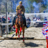 Лошади уверенно справлялись со сложными препятствиями — newsvl.ru