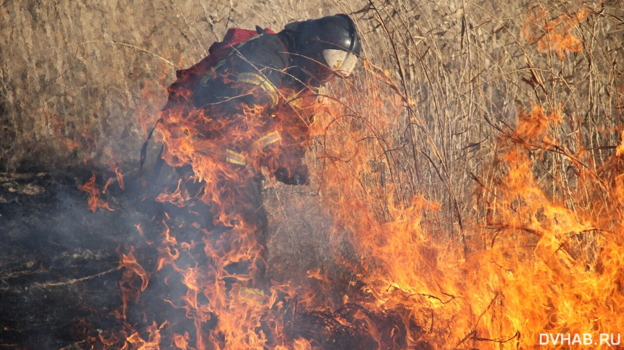 Пятнадцать лесных пожаров полыхают в Хабаровском крае