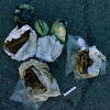 �������� ��������� � ���������� ����� � ��������� �������� � �������� �� 18 ��� ������