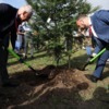 Высадка деревьев в Реликтовом сквере на Русском острове — newsvl.ru