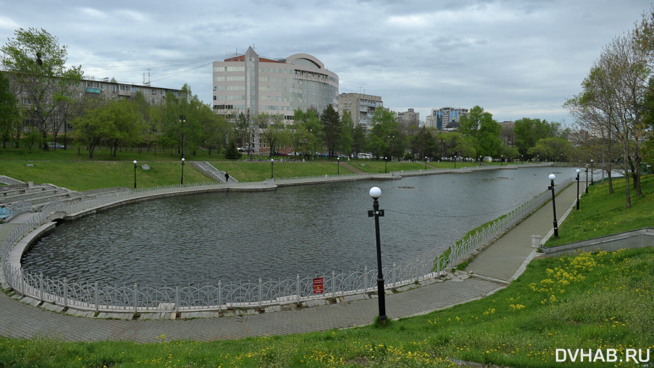 Разбитые пруды приведут в порядок после Дня города в Хабаровске (ФОТО)