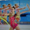 Турнир по художественной гимнастике «Ника» проходит в 25-й раз — newsvl.ru
